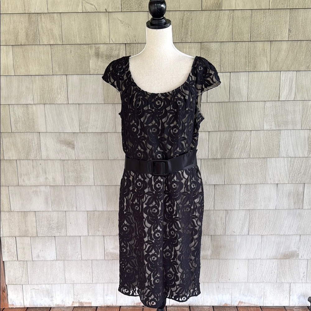 Adrianna Papell Lined Lace Dress – Elegant & Timeless